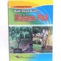 Image of BUDI DAYA BUAH DALAM POT